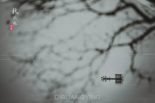 光影俱樂部創(chuàng)作班 在文學與藝術的交匯處探索文藝創(chuàng)作