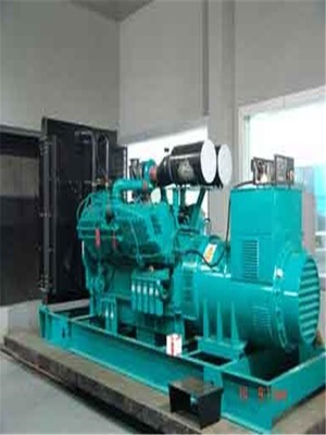 豐南進(jìn)口發(fā)電機(jī)與發(fā)電車(chē)出租 全國(guó)24小時(shí)服務(wù)的可靠選擇